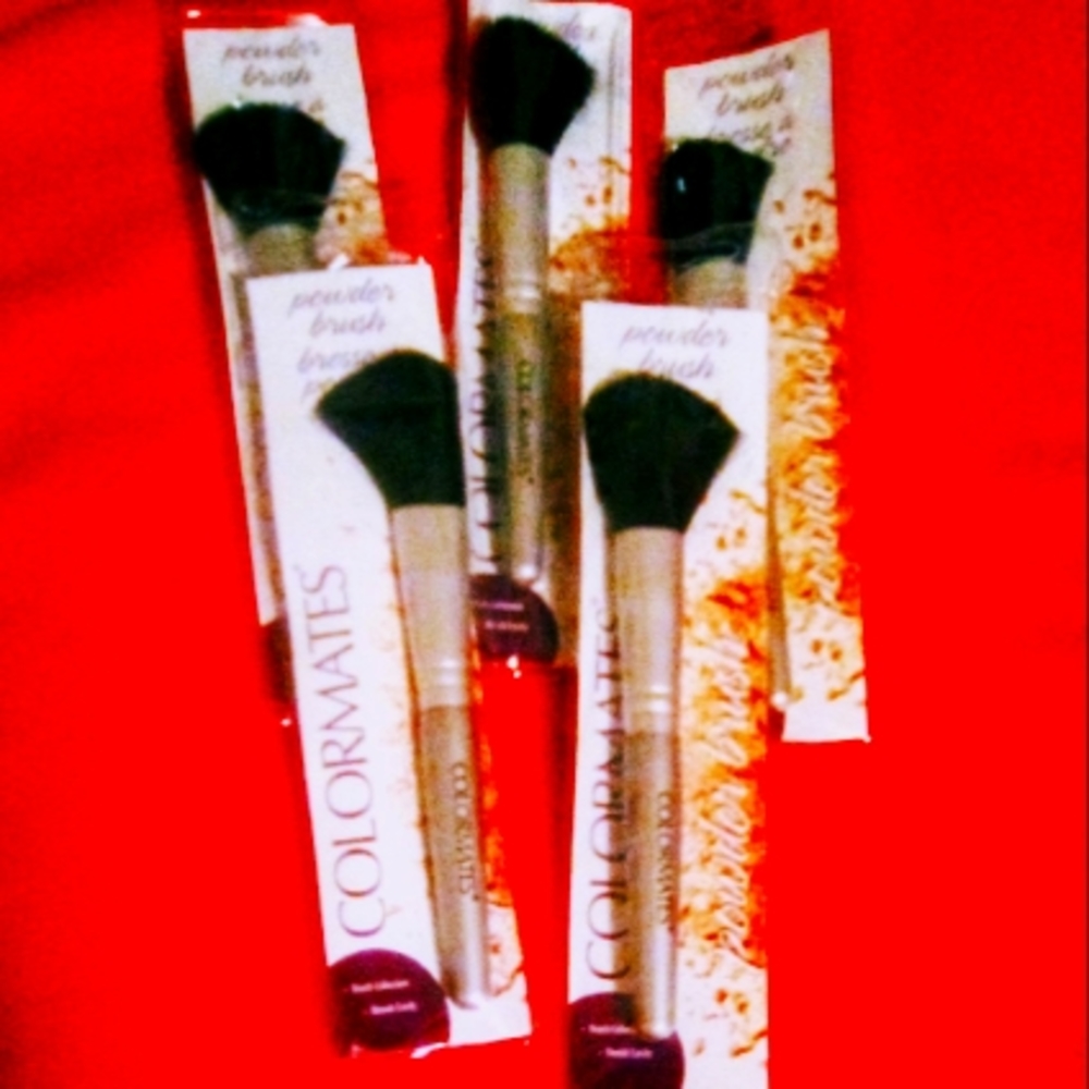Lot of Five Colormates Powder Brushes